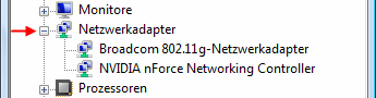 Windows Vista Geräte-Manager Netzwerkadapter