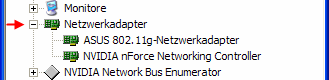 Windows XP Geräte-Manager Netzwerkadapter