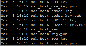Raspbian SSH-Host Schlüsseldateien neu erzeugen